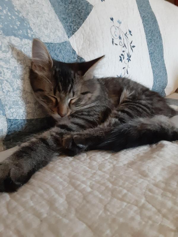 TuckersMom uploaded   190  day/s  ago