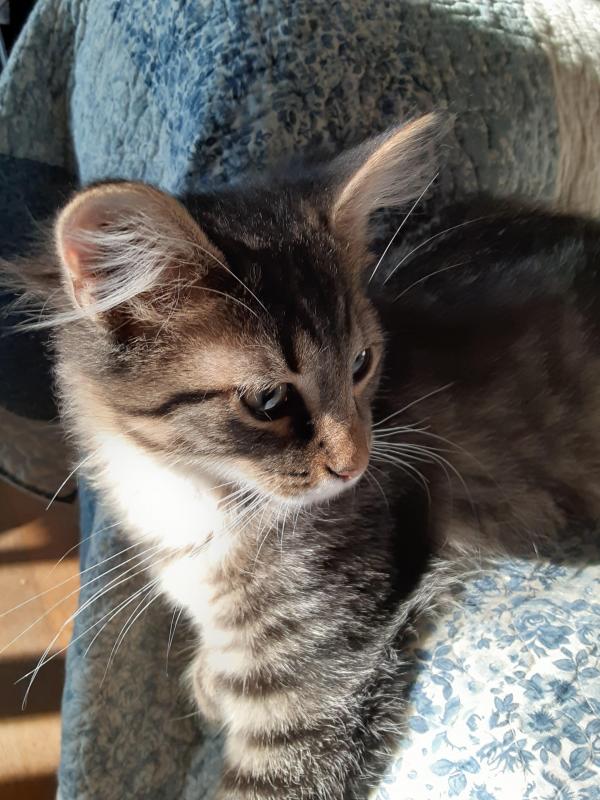 TuckersMom uploaded   190  day/s  ago