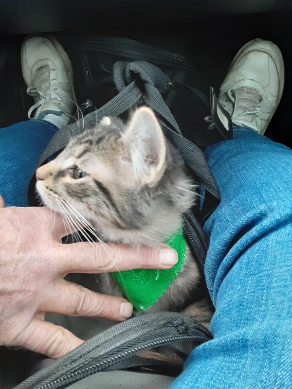 TuckersMom uploaded   190  day/s  ago