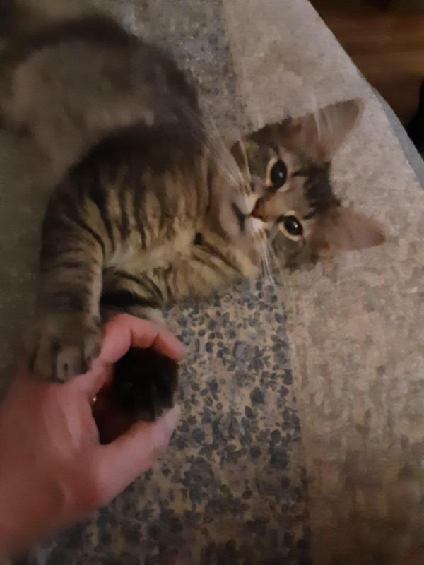 TuckersMom uploaded   190  day/s  ago