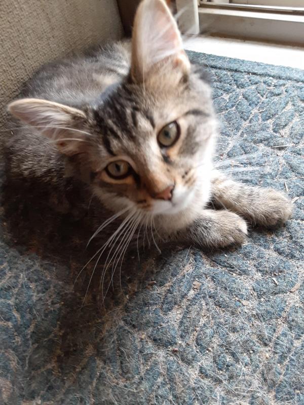 TuckersMom uploaded   190  day/s  ago