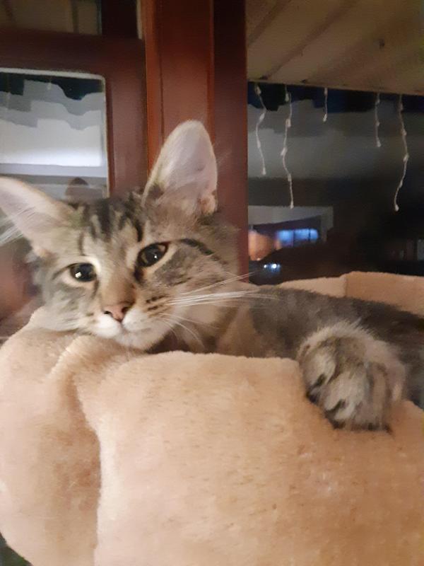 TuckersMom uploaded   190  day/s  ago