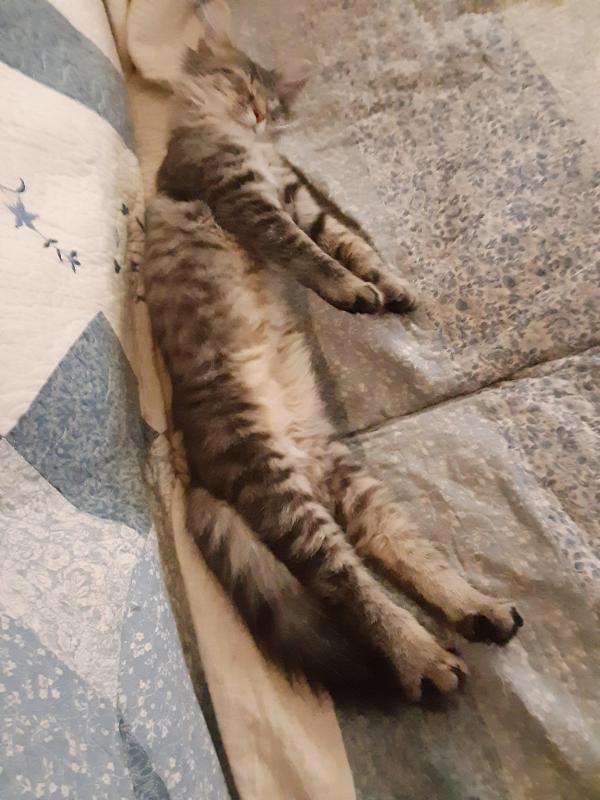 TuckersMom uploaded   190  day/s  ago