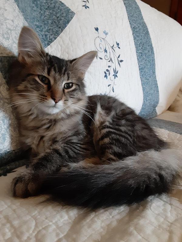 TuckersMom uploaded   190  day/s  ago