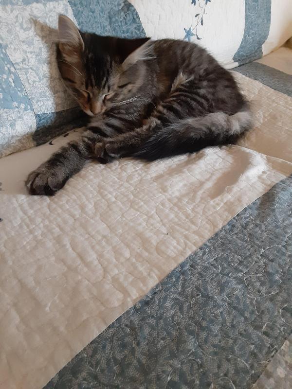 TuckersMom uploaded   190  day/s  ago