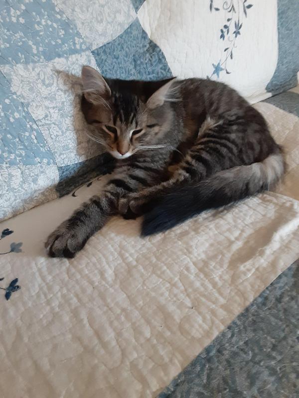 TuckersMom uploaded   190  day/s  ago