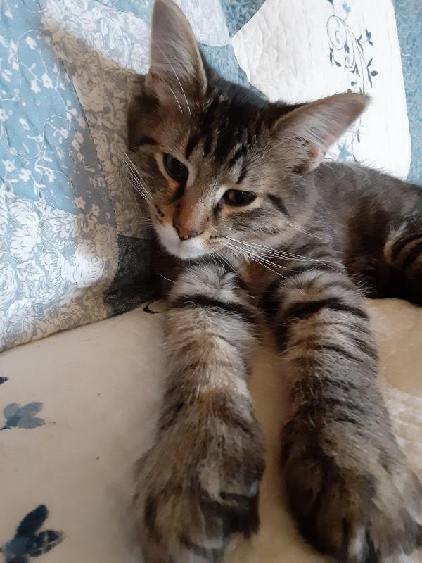 TuckersMom uploaded   190  day/s  ago