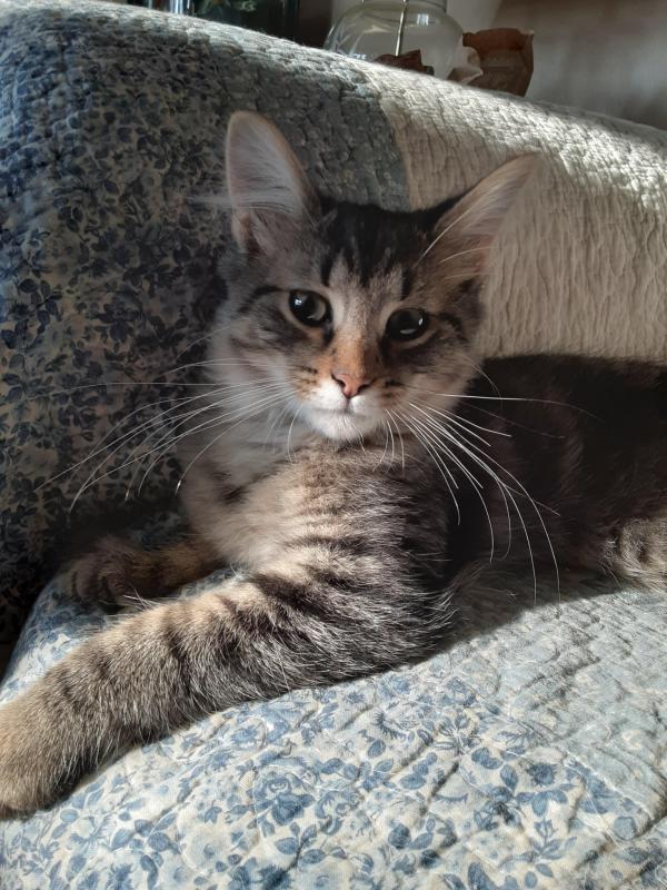 TuckersMom uploaded   190  day/s  ago