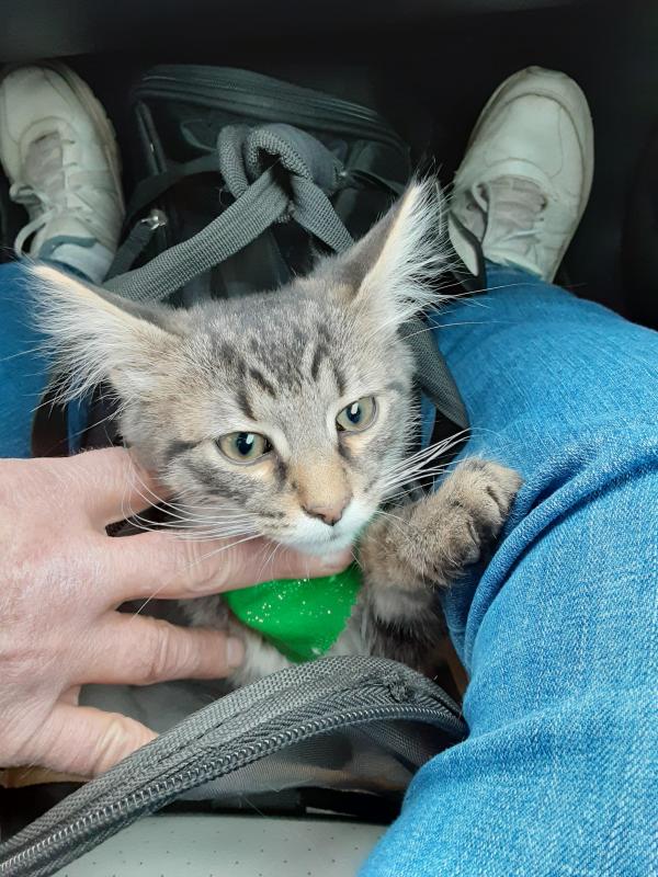 TuckersMom uploaded   190  day/s  ago