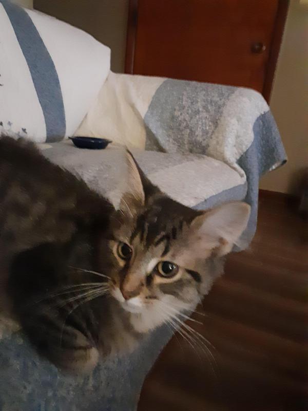 TuckersMom uploaded   190  day/s  ago