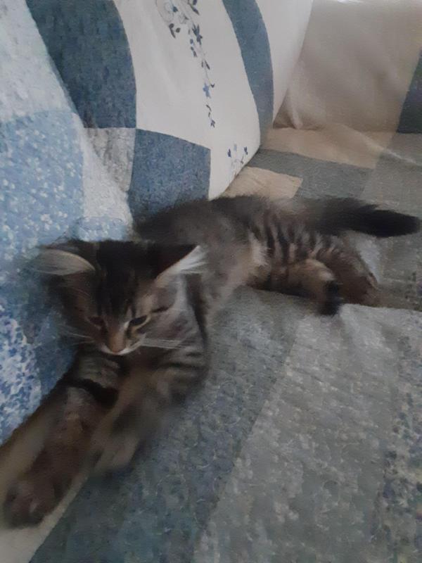 TuckersMom uploaded   190  day/s  ago