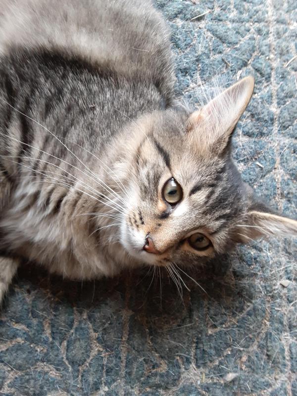 TuckersMom uploaded   190  day/s  ago