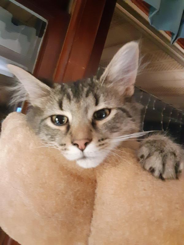 TuckersMom uploaded   190  day/s  ago