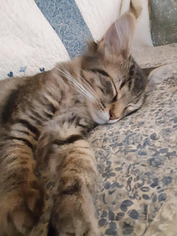 TuckersMom uploaded   190  day/s  ago