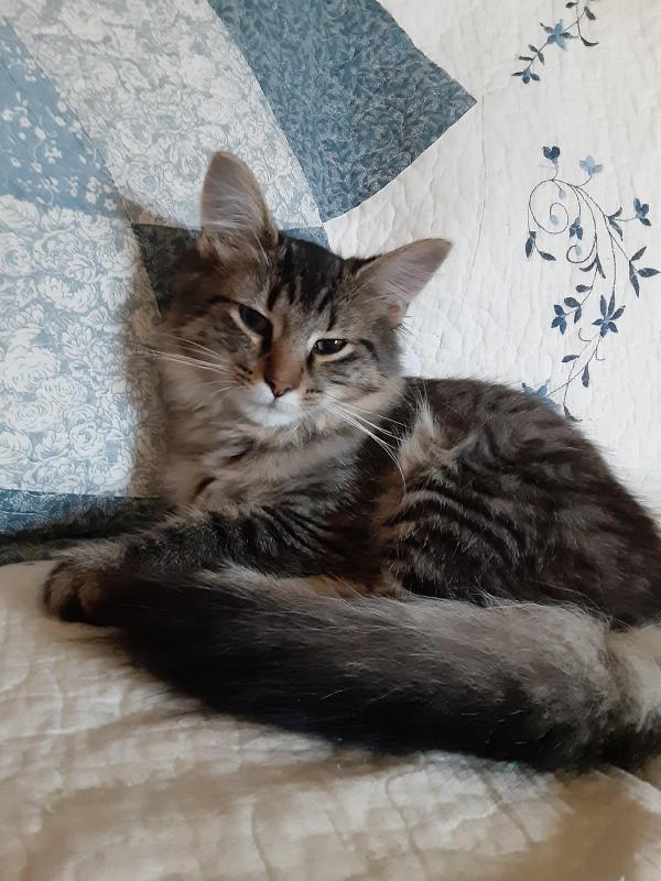 TuckersMom uploaded   190  day/s  ago