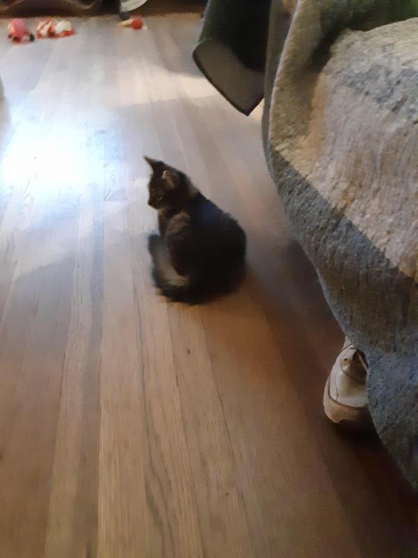 TuckersMom uploaded   190  day/s  ago