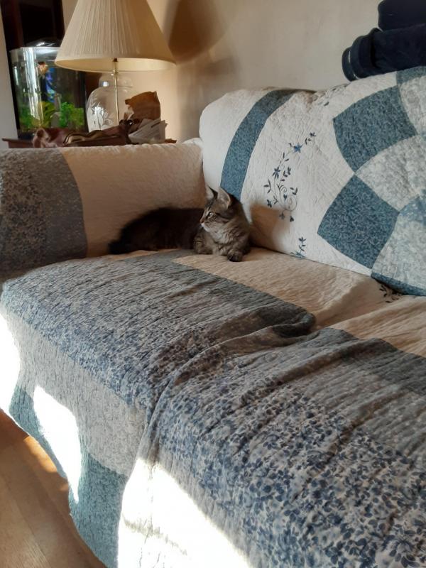 TuckersMom uploaded   190  day/s  ago