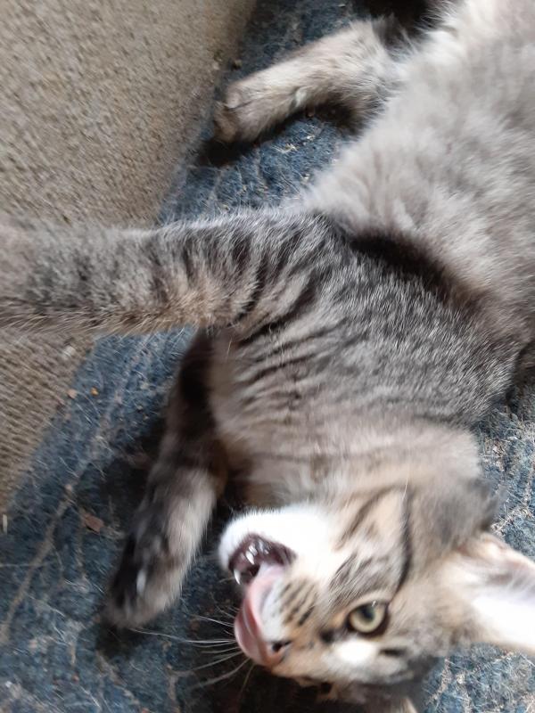 TuckersMom uploaded   190  day/s  ago