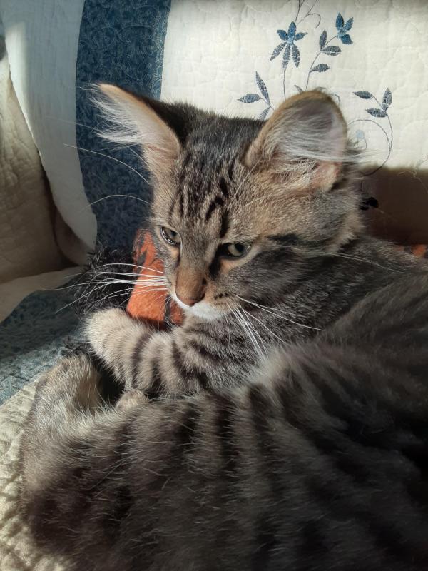 TuckersMom uploaded   190  day/s  ago