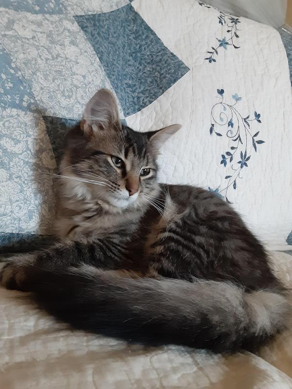 TuckersMom uploaded   190  day/s  ago