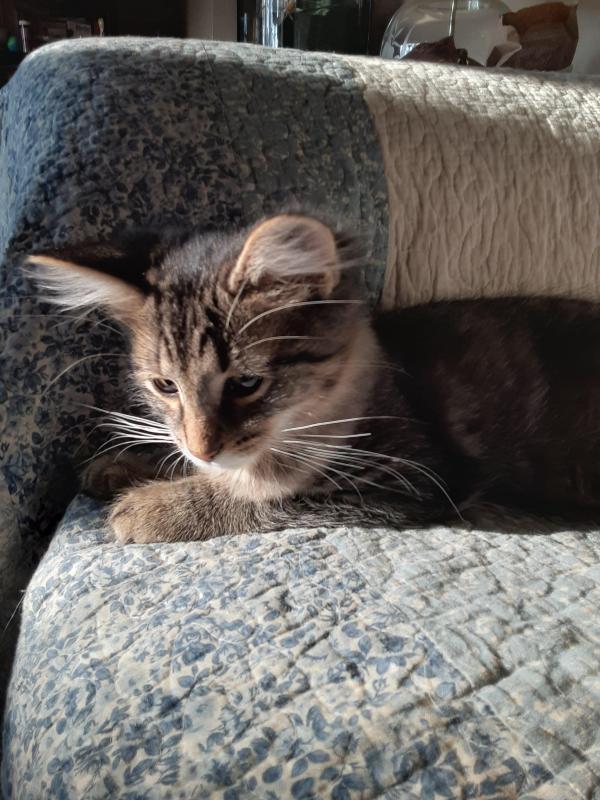 TuckersMom uploaded   190  day/s  ago