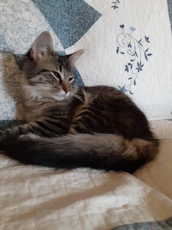 TuckersMom uploaded   190  day/s  ago