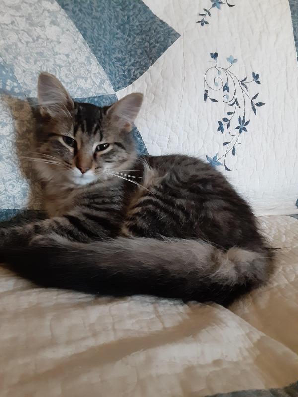 TuckersMom uploaded   190  day/s  ago