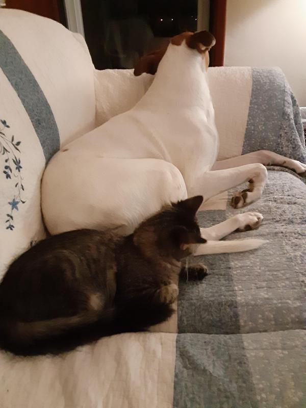 TuckersMom uploaded   190  day/s  ago