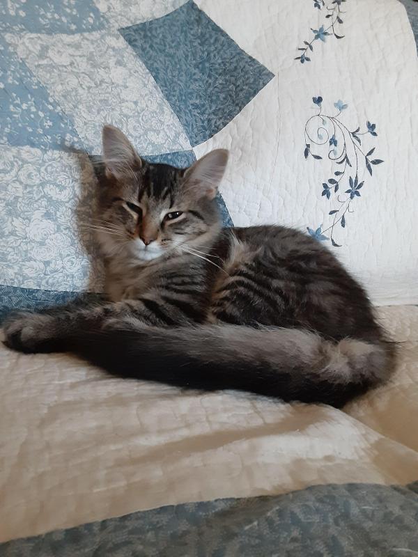 TuckersMom uploaded   190  day/s  ago