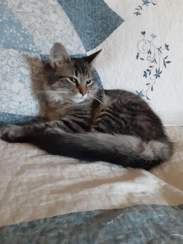 TuckersMom uploaded   190  day/s  ago