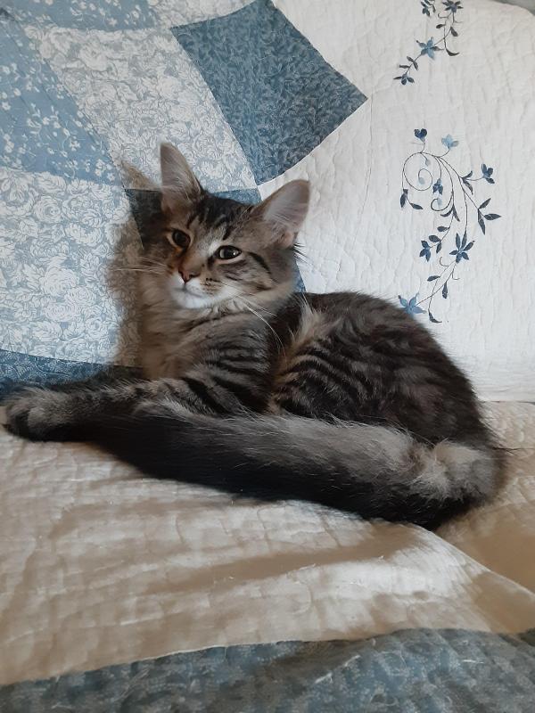 TuckersMom uploaded   190  day/s  ago