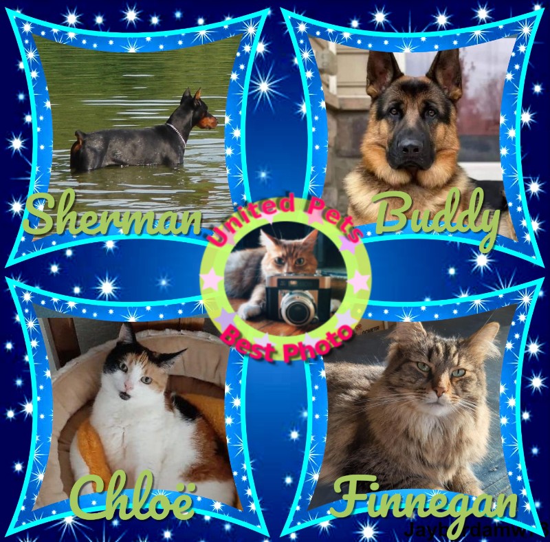 TuckersMom uploaded   2 year/s ago