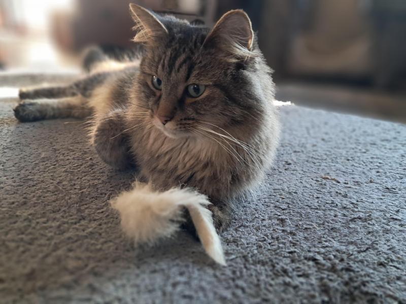 TuckersMom uploaded   150  day/s  ago