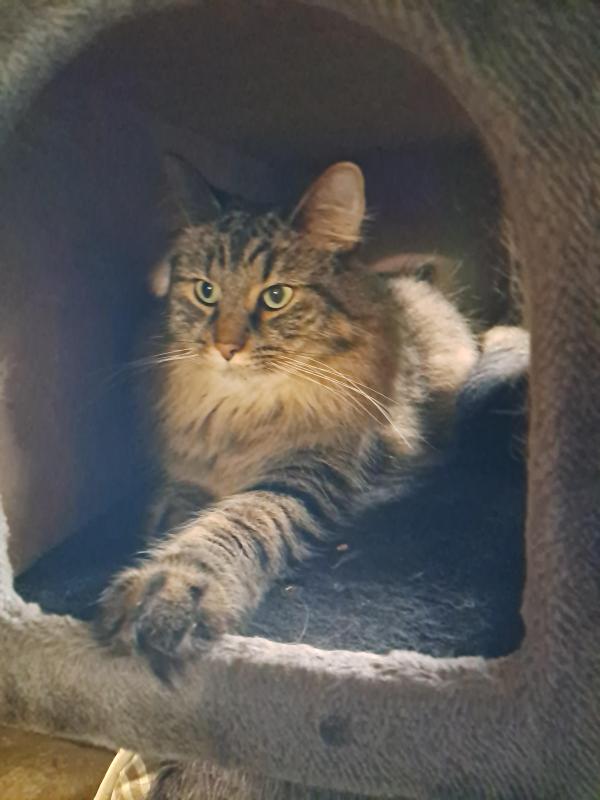 TuckersMom uploaded   143  day/s  ago