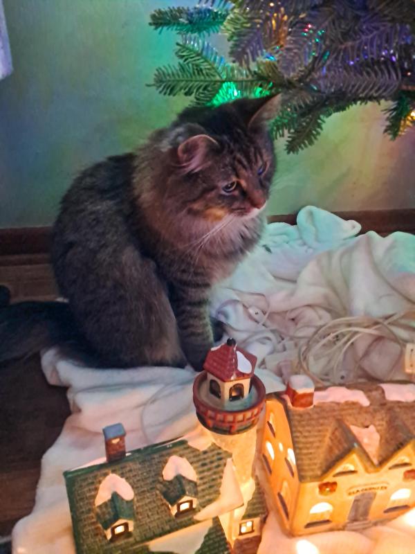 TuckersMom uploaded   120  day/s  ago