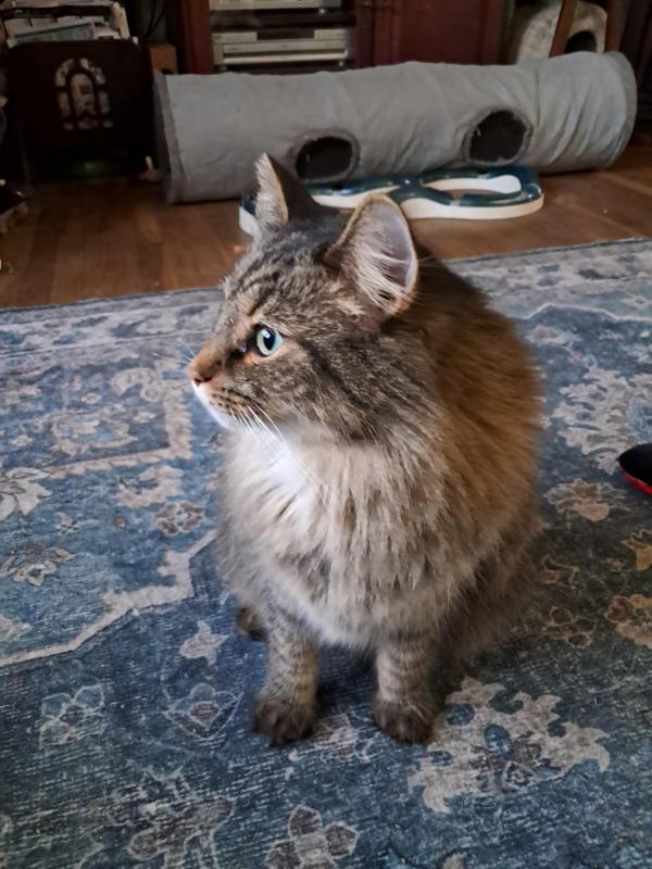 TuckersMom uploaded   1 year/s ago