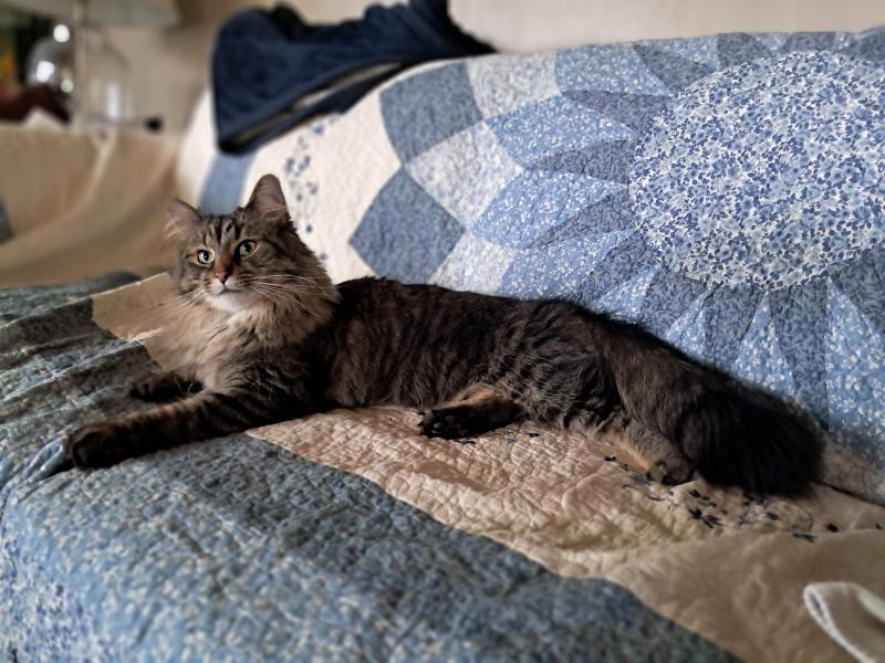 TuckersMom uploaded   1 year/s ago