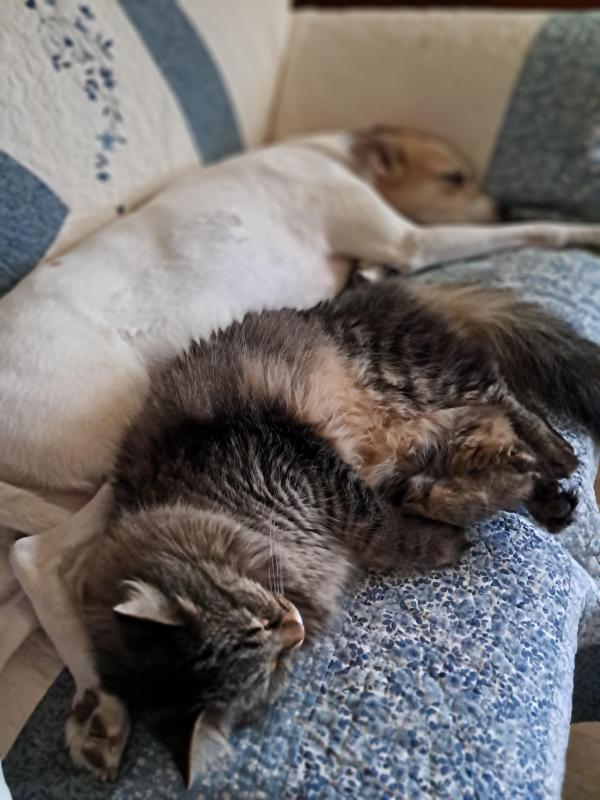 TuckersMom uploaded   1 year/s ago