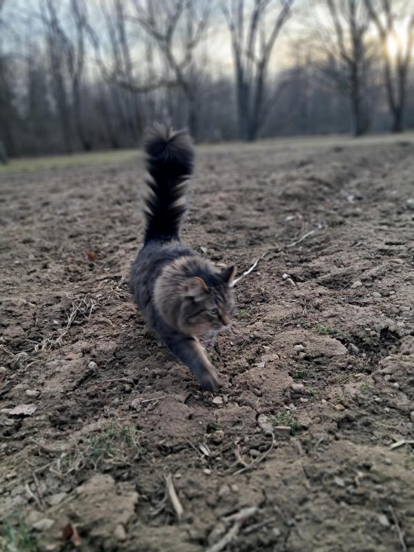 TuckersMom uploaded   1 year/s ago