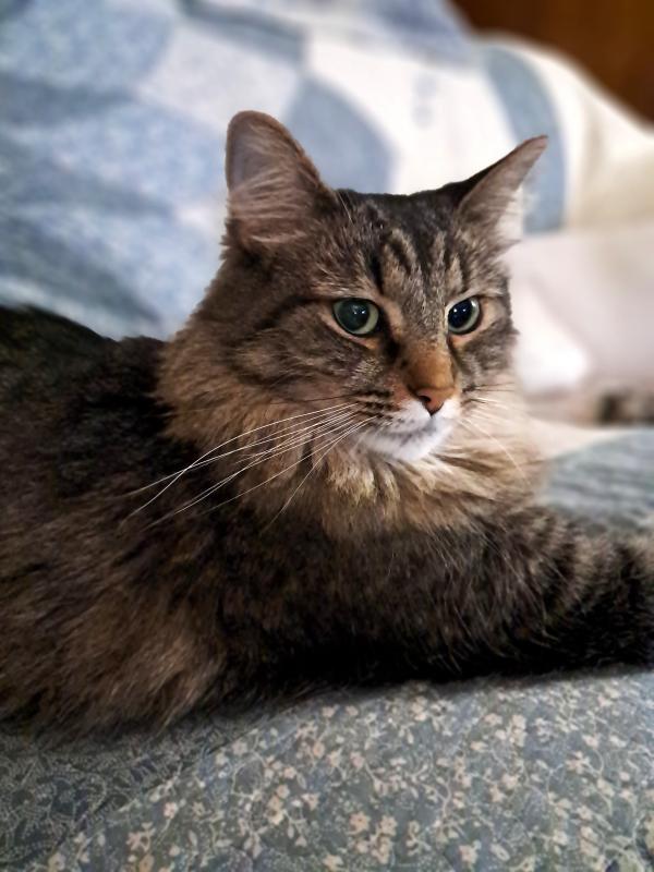 TuckersMom uploaded   211  day/s  ago