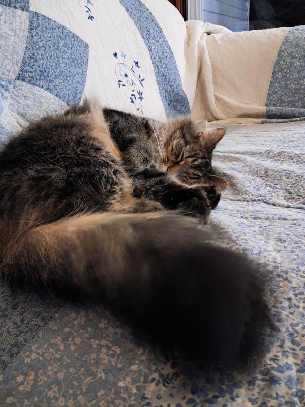 TuckersMom uploaded   93  day/s  ago