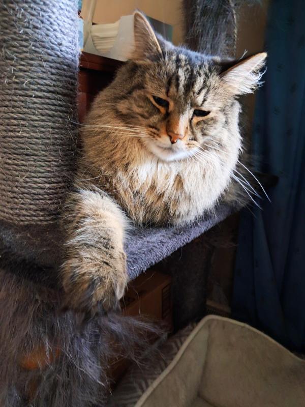 TuckersMom uploaded   83  day/s  ago