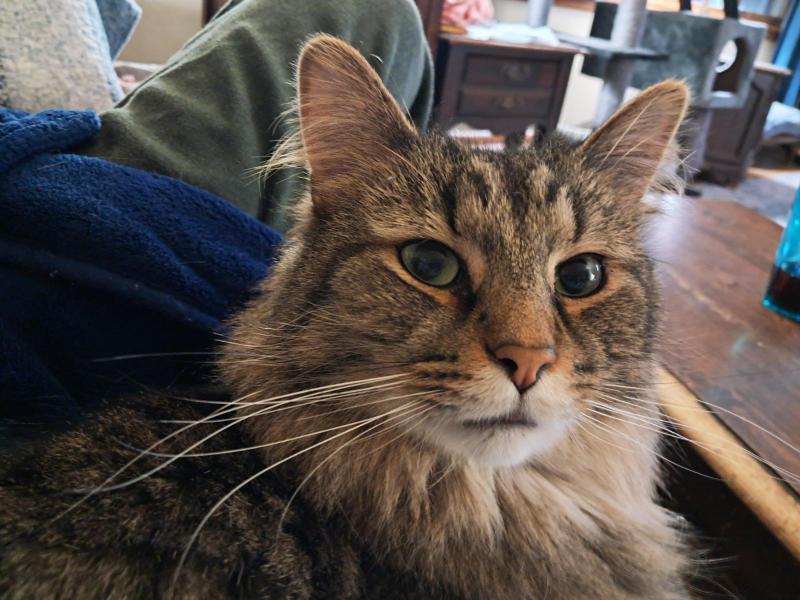 TuckersMom uploaded   2  day/s  ago