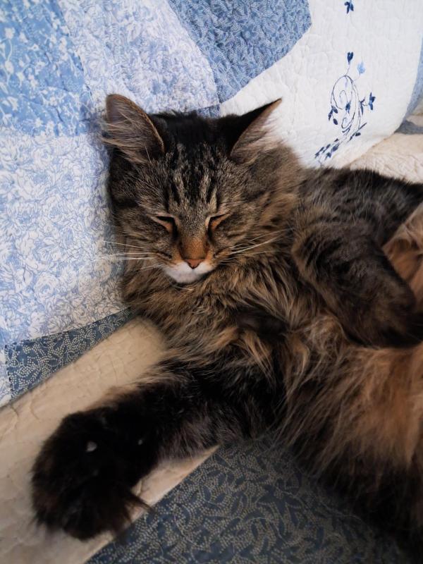 TuckersMom uploaded   58  day/s  ago