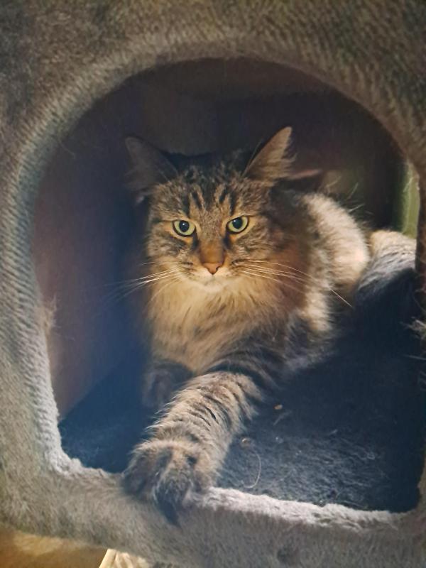 TuckersMom uploaded   143  day/s  ago