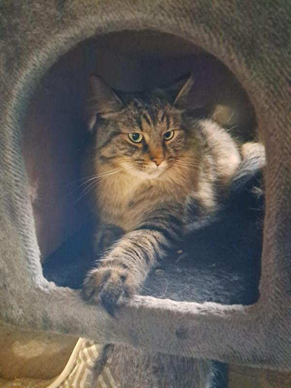 TuckersMom uploaded   143  day/s  ago