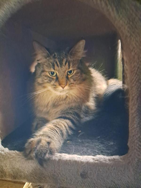 TuckersMom uploaded   143  day/s  ago