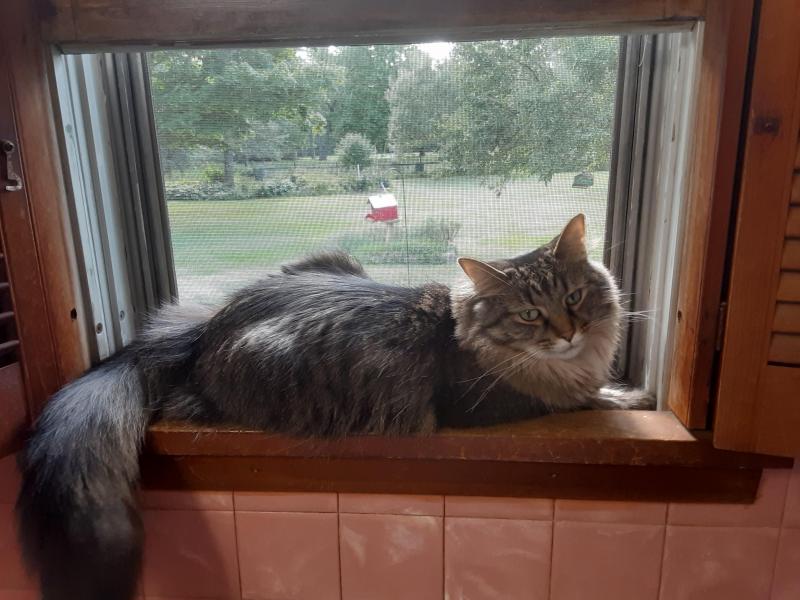 TuckersMom uploaded   1 year/s ago