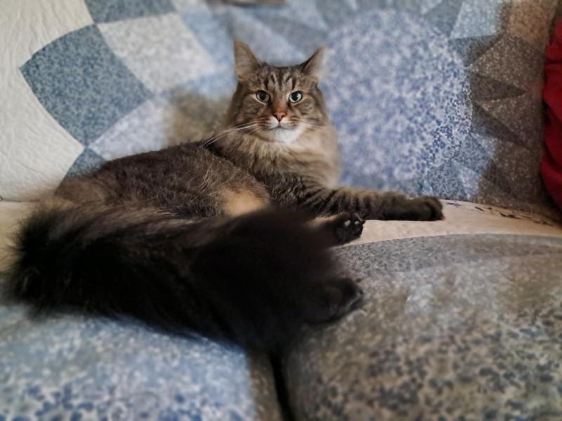 TuckersMom uploaded   143  day/s  ago