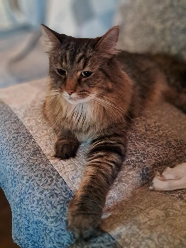 TuckersMom uploaded   120  day/s  ago